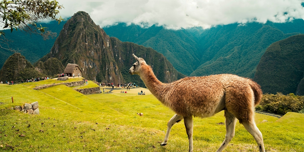 llama.cpp on Debian 13 with CUDA