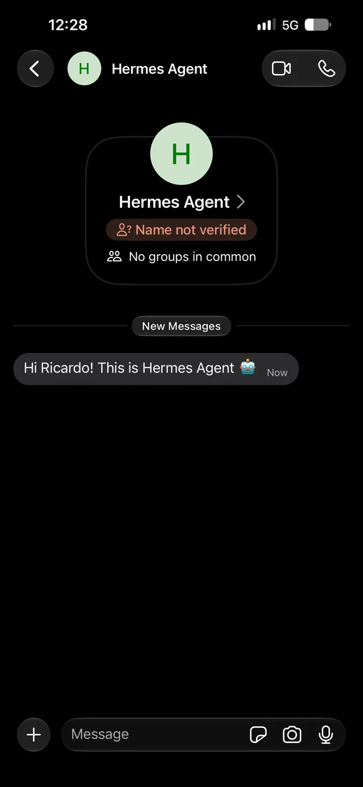 Signal message request from Hermes Agent with the test message: Hi Ricardo! This is Hermes Agent.