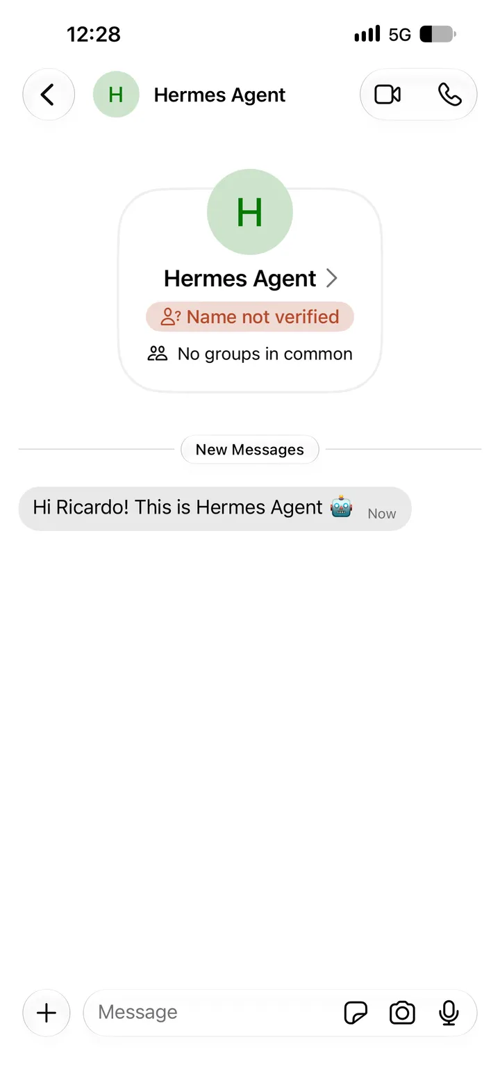 Signal message request from Hermes Agent with the test message: Hi Ricardo! This is Hermes Agent.